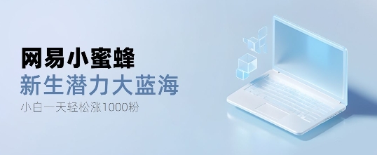 网易小蜜蜂，最新大蓝海项目，单日轻松日涨千粉-赚钱网