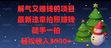 解气又挣钱的项目，最新违章拍照挣钱，随手一拍，轻松收入多张【揭秘】-赚钱网