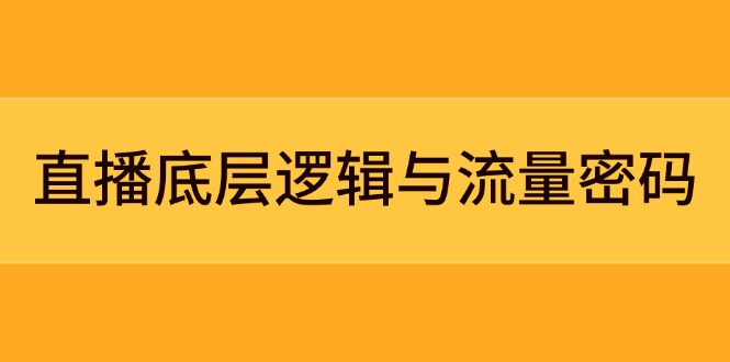 （14695期）直播底层逻辑与流量密码：定位模型+案例拆解，急速流承接与数据优化全攻略-赚钱网