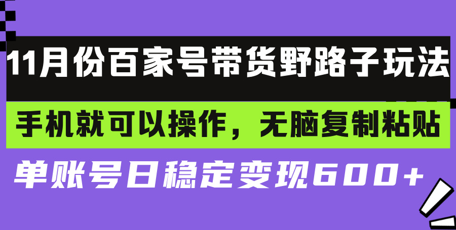 （13281期）百家号带货野路子玩法 手机就可以操作，无脑复制粘贴 单账号日稳定变现…-赚钱网