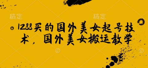 1288买的国外美女起号技术，国外美女搬运教学-赚钱网