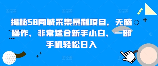 揭秘58同城采集暴利项目，无脑操作，非常适合新手小白，一部手机轻松日入-赚钱网