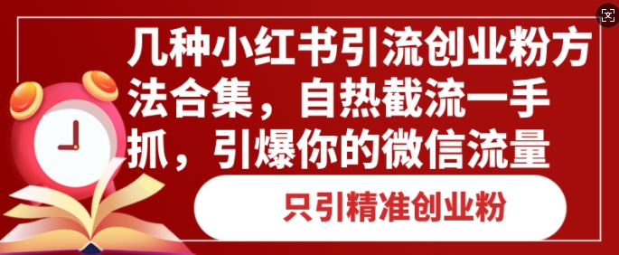 几种小红书引流创业粉方法合集，自热截流一手抓，引爆你的微信流量-赚钱网