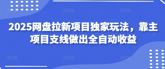 2025网盘拉新项目独家玩法，靠主项目支线做出全自动收益-赚钱网