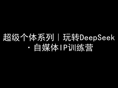 超级个体系列，玩转DeepSeek·自媒体IP训练营，deepseek教程-赚钱网