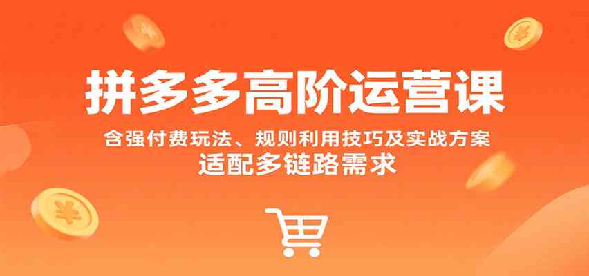 拼多多高阶运营课，含强付费玩法、规则利用技巧及实战方案，适配多链路需求-赚钱网