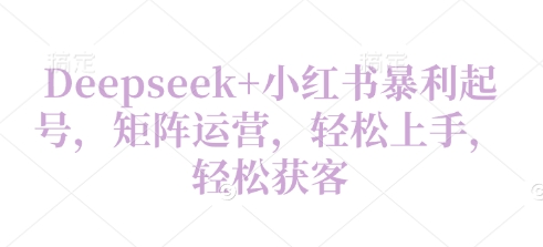 Deepseek+小红书暴利起号，矩阵运营，轻松上手，轻松获客-赚钱网