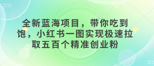 全新蓝海项目，带你吃到饱，小红书一图实现极速拉取五百个精准创业粉-赚钱网