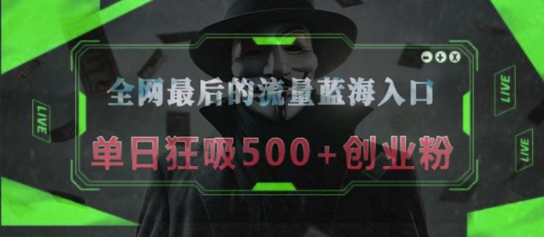 全网最后的流量蓝海入口，半小时引流50+创业粉，单日狂吸500+创业粉-赚钱网
