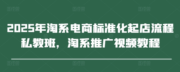 2025年淘系电商标准化起店流程私教班，淘系推广视频教程-赚钱网