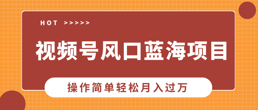 视频号风口蓝海项目，中老年人的流量密码，操作简单轻松月入过W-赚钱网