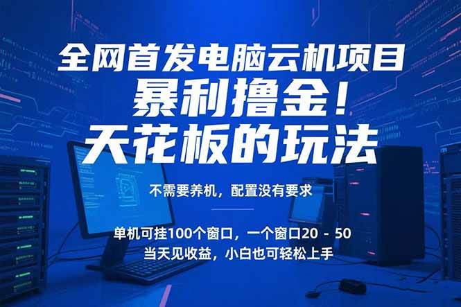 （15323期）电脑云机项目 暴力撸金玩法，不需要养机 配置没有要求 单机100个窗口一…-赚钱网