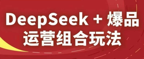 DeepSeek+爆品运营组合玩法，2025淘系精品课-赚钱网