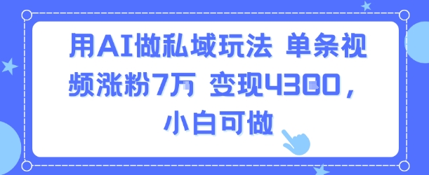用AI做私域玩法，单条视频涨粉7W变现4.3k，小白可做-赚钱网