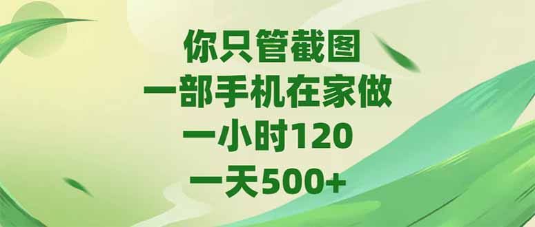 （15039期）你只管截图，一部手机在家做，一小时120，-天500+-赚钱网
