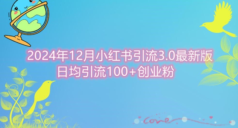 2024年12月小红书引流最新版，日均引流100+创业粉-赚钱网