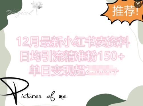 12月最新小红书日均引流精准粉100+，单日变现多张-赚钱网