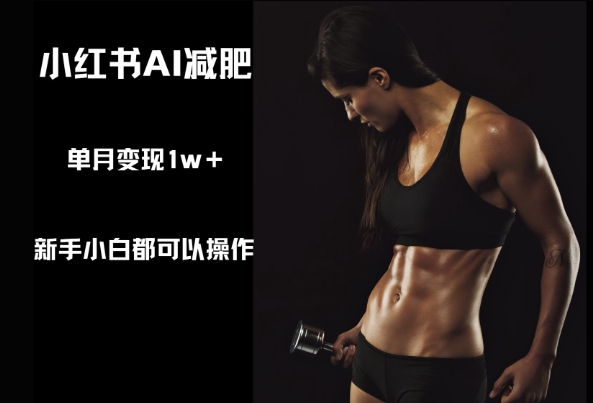小红书AI减肥，新手小白都可以操作，单月变现1w+-赚钱网