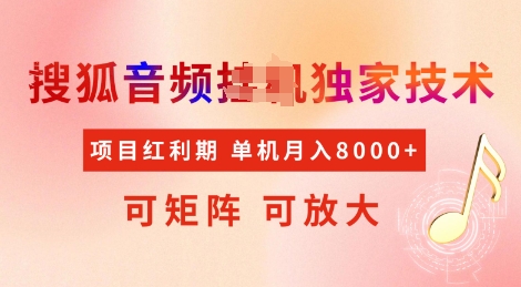 全网首发搜狐音频挂JI独家技术，项目红利期，可矩阵可放大，稳定月入8k【揭秘】-赚钱网