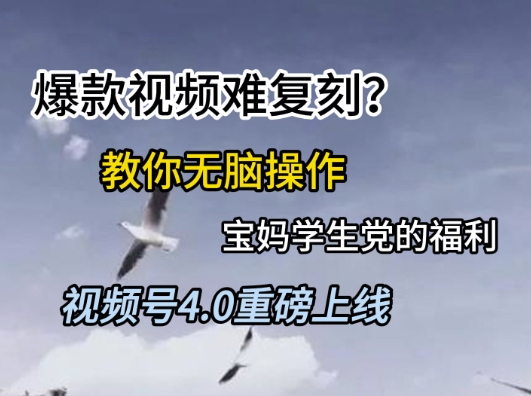 视频号4.0重磅上线，爆款视频难复刻？教你无脑操作宝妈学生党的福利【揭秘】-赚钱网