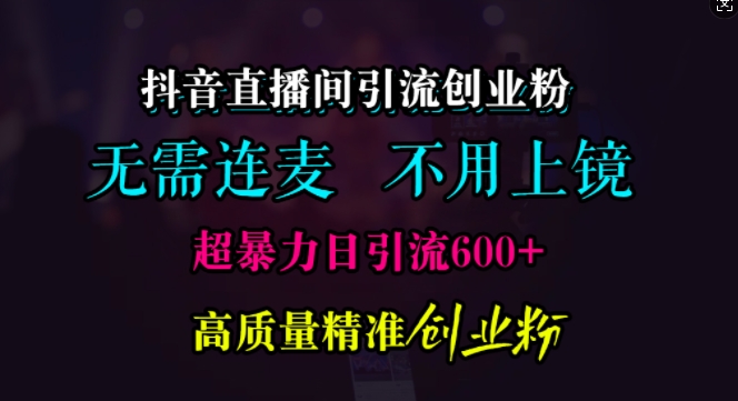 抖音直播间引流创业粉，无需连麦、无需上镜，超暴力日引流600+高质量精准创业粉【揭秘】-赚钱网