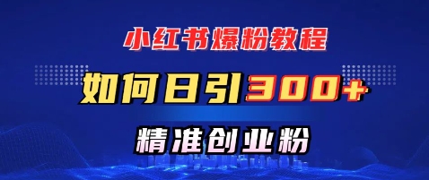 小红书爆粉教程，如何日引300+创业粉，快速实现精准变现-赚钱网