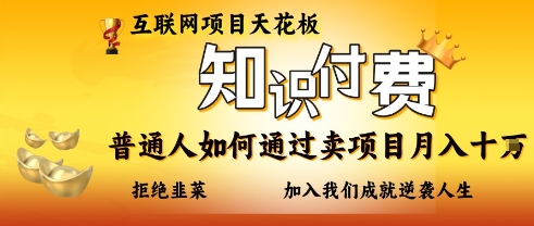 互联网项目天花板，知付付费项目，普通人如何通过卖项目月入十个，拒绝韭菜【揭秘】-赚钱网