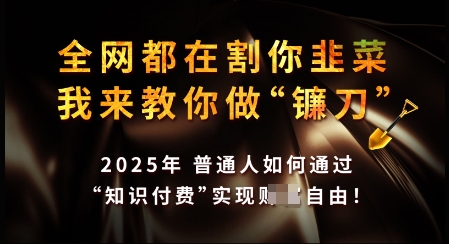 知识付费如何做到月入过W+，2025我来教你做“镰刀”【揭秘】-赚钱网