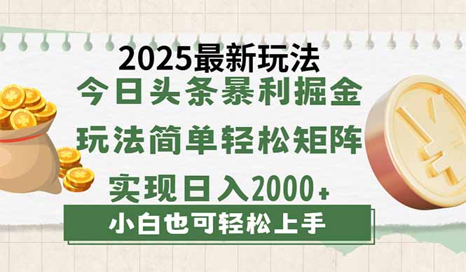 （14120期）今日头条2025最新玩法，思路简单，复制粘贴，轻松实现矩阵日入2000+-赚钱网