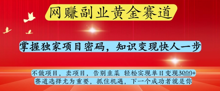 网创副业黄全赛道，掌握独家项目密码，知识变现快人一步，告别韭菜轻松实现单日变现1k+【揭秘】-赚钱网
