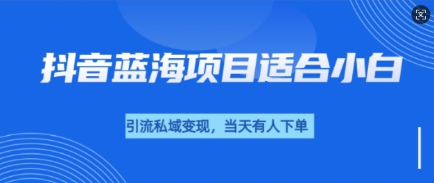 抖音蓝海小赛道私域变现项目，单价1.9单天变现100+，实操玩法分享给你-赚钱网