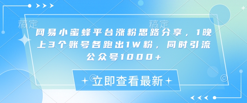 网易小蜜蜂平台涨粉思路分享，1晚上3个账号各跑出1W粉，同时引流公众号1000+-赚钱网