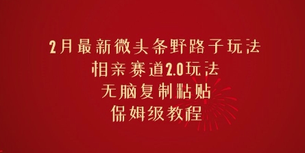 2月最新微头条野路子玩法，相亲赛道2.0玩法，无脑复制粘贴，保姆级教程-赚钱网