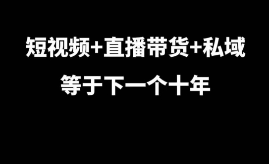 短视频+直播带货+私域等于下一个十年，大佬7年实战经验总结-赚钱网