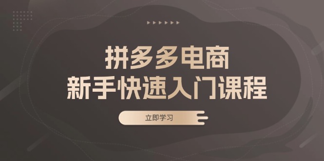 （13289期）拼多多电商新手快速入门课程：涵盖基础、实战与选款，助力小白轻松上手-赚钱网