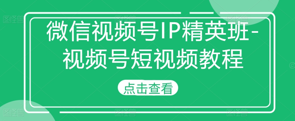 微信视频号IP精英班-视频号短视频教程-赚钱网
