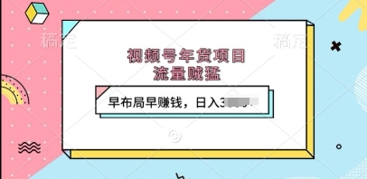 视频号年货项目，流量贼猛，早布局早挣钱，日入上k【揭秘】-赚钱网