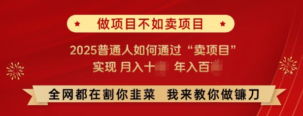 必看，做项目不如卖项目，2025普通人如何通过“卖项目”实现月入十个，年入百个-赚钱网
