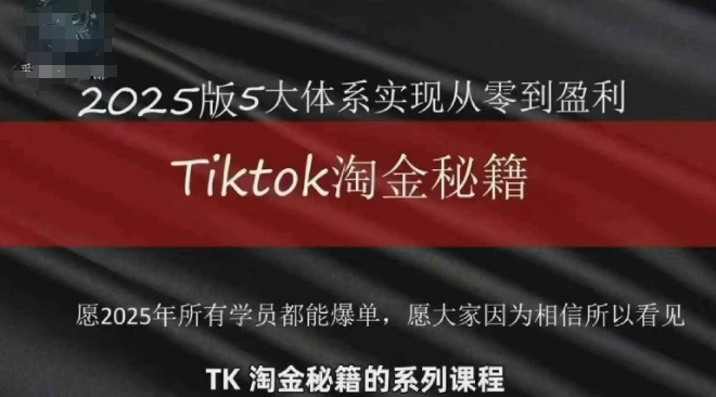 TikTok跨境2025淘金秘籍，​2025TikTok从0到盈利变现-赚钱网