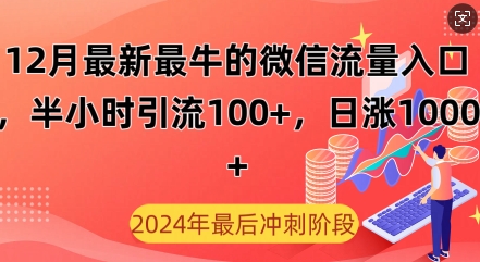 12月最新最牛的微信流量入口，半小时引流100+创业粉，日涨粉1000+-赚钱网