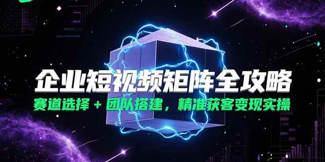 （15242期）企业短视频矩阵全攻略，赛道选择+团队搭建，精准获客变现实操-赚钱网