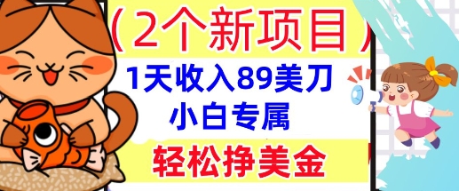 2个新项目，轻松挣美金， 1天收入89美刀，小白专属，干货分享-赚钱网