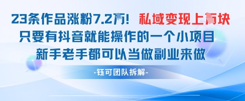 抖音私域项目23条作品涨粉7.2W，私域变现1W-赚钱网