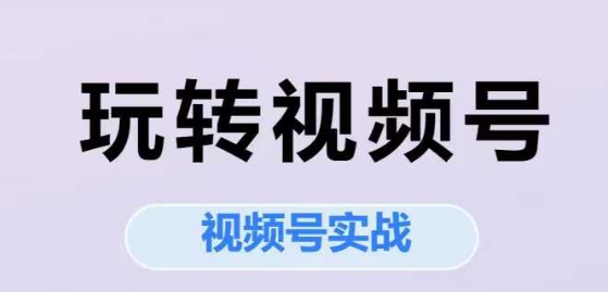 玩转视频号，视频号实战系列课-赚钱网