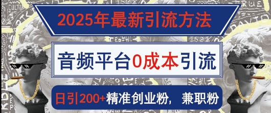 2025年最新引流方法，音频平台0成本引流，日引200+精准创业粉-赚钱网