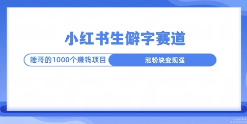 小红书生僻字玩法，快速涨分变现详解-赚钱网