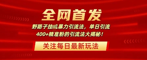 全网首发，野路子暴力引流法，单日引流400+精准粉的引流法大揭秘-赚钱网