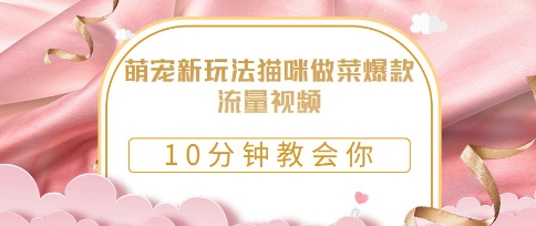 萌宠新玩法猫咪做菜爆款流量视频，10分钟教会你-赚钱网