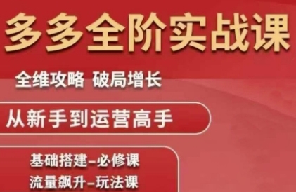 拼多多全阶实战课程，全维攻略，破局增长，从新手到运营高手-赚钱网