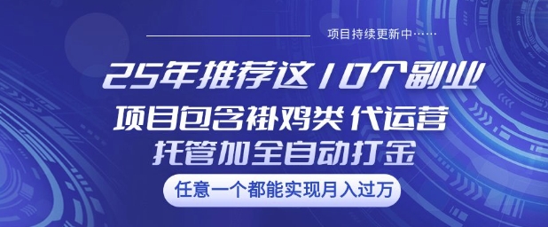 25年推荐这10个副业项目包含褂鸡类、代运营托管类、全自动打金类【揭秘】-赚钱网